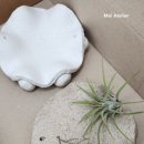 지정면복지회관 이미지