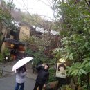 구로카와 온천3 - 구로카와소 온천 노천탕에서 온천욕을 하다! 이미지