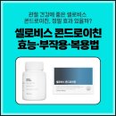 셀로비스 콘드로이친 효능 효과 후기 복용법 총정리!