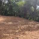 김성태 농장 이미지