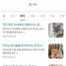 꽃을탐하다 이미지