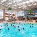 롯데워터파크(스파) 이미지