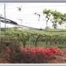 횃불농장 이미지