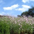 엄마품마을 이미지