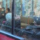 3R메디칼 | [도쿄 근교 여행] 하코네 당일치기 여행 코스, 하코네 로망스카, 하코네 프리 패스권, 하코네 여행 팁