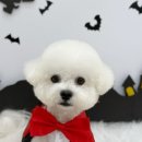 사계절, 멍 네이버블로그