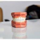 센트럴치과의원 이미지