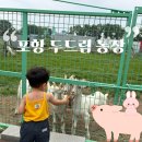 왕성길농장 | 포항 아이랑 가볼만한곳 추천｜ 두드림 농장 상세 후기