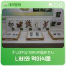 한남대학교 자연사박물관 네이버블로그