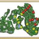 그랜드 골프클럽 이미지