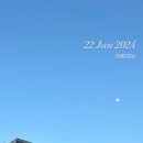 수진가해랑약국 | 다이빙 - 1월 결산 (모의대회, 드디어 아레나 대회 끝!)