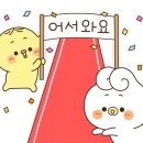 귀한족발미아