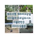 제주여행 제주도여행중 비오는날 아이들과 가볼만한곳 여미지식물원 후기
