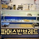 파머스반브레드 | 럭키밀 반값할인 이용 ｜ 익선동 빵집 파머스반브레드 주차 영업시간
