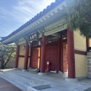 포충로 | 광주 피크닉·산책 명소 추천! 햇살 좋았던 포충사 방문 후기