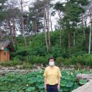 베드로공인중개사사무소 네이버블로그