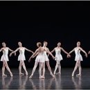 콘체르토CONCERTO 이미지