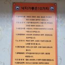 다이소 부산범천점 앞 | 부산 범천동 맛집 : 조방낙지 범천점 매콤 낙새 후기