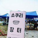 봄날의 소쿠리