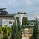 카페바트 이미지