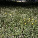 (주)이유엘 네이버블로그
