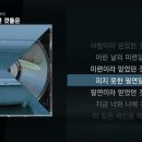 사랑이라 믿었던 것들은 이미지