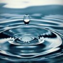 금암초등학교 이미지