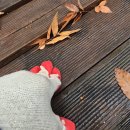 선여불로 이미지