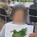 수원어르신간호센터 | 어르신과 가족 모두에게 큰 힘이 되는 수원매교동주간보호센터, 왜 많은 분들이 선택할까요