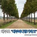 감귤향기힐링파크 | 대부도 놀거리 전동바이크 바다향기테마파크 라이딩 액티비티 후기