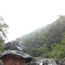 지리산계곡 Daum카페