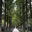 생물자원연구소 이미지