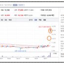 선바이오(주) 이미지