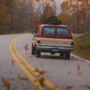 Dog 앤 Story 이미지