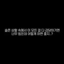 그리움상조 이미지