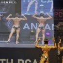 머슬H휘트니스 네이버블로그