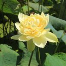 장성공원3 이미지