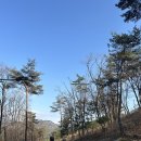 숲쉬다 | 속리산숲체험휴양마을 2박3일 후기🌿 여유롭게 쉬다 오기 좋은 곳