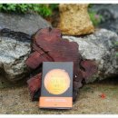 솔라이언 이미지