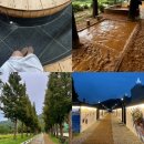 메타세쿼이아길 공중화장실 | 예산 덕산 온천족욕장 맨발황토길 메타세쿼이아길 벽화거리 데이트!