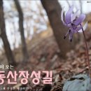 2015년 3월 21일(토)제71차 발도행 부산방 걷기(동산장성길 걷기) 이미지