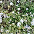 운남서로 이미지