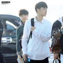 부타 이미지