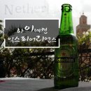 트립포미 이미지