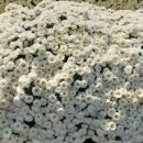 의좋은형제 공원 이미지