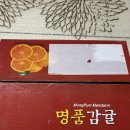 탐라미트