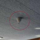 사전투표 5만여매 사무국장실 보관…CCTV는 종이로 덮었다 이미지