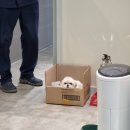 웰니스동물병원(수완점) 이미지