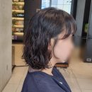 정림비치 | 여자 단발히피펌 대만족 후기 동탄미용실 중단발 스타일링