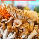 보문산공원로 이미지